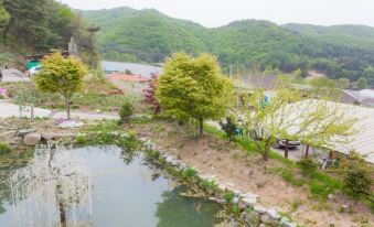 Hoengseong Taegisan Morning Birdcall Pension