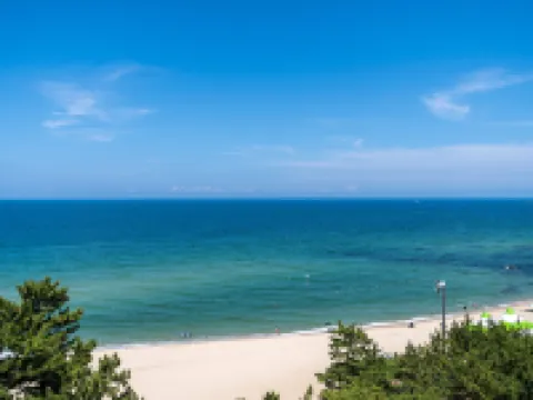 Gangneung Brown Dot Gangneung Gyeongpo Hotels in Gangneung-si