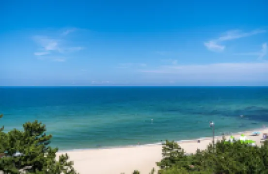 Gangneung Brown Dot Gangneung Gyeongpo