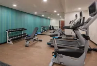 Holiday Inn Express & Suites BRADLEY AIRPORT by IHG - Gym