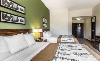 Sleep Inn & Suites Mount Olive North