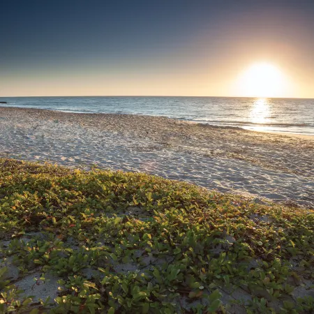 Club Wyndham Ocean Ridge