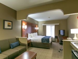 Comfort Suites Austin NW Lakeline