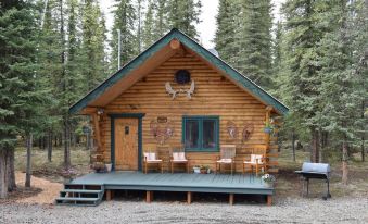 Fox n Fireweed Cabins