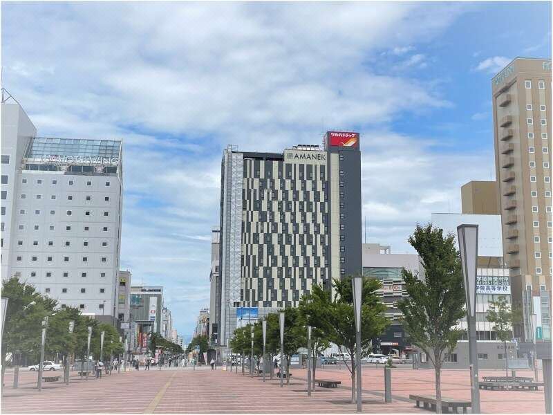 호텔 아마넥 아사히카와 이미지