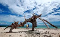 Kalicaa Villa Tanjung Lesung - pantai