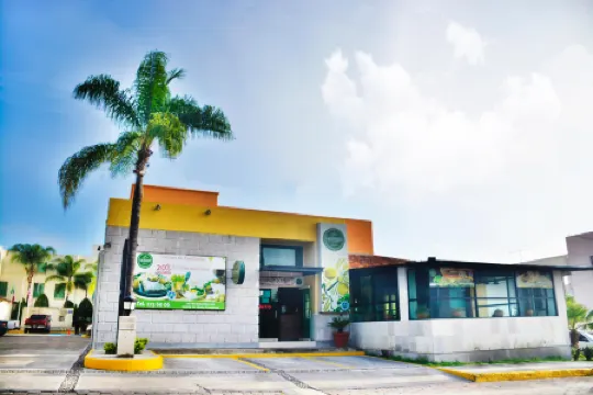 Hotel San Carlos Tequisquiapan