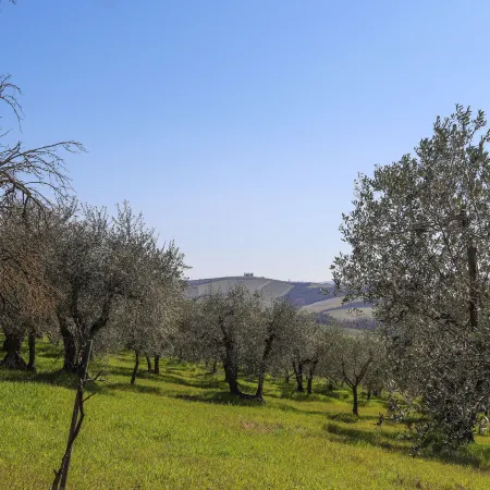 Podere San Raffaele - Cinzia