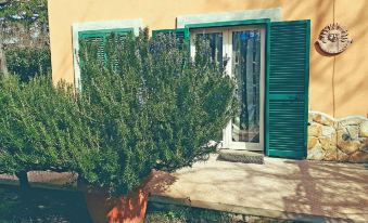 Bed and Breakfast Monticelli