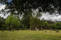 Coral Tree Cottages - Apartments