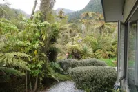 Franz Josef Treetops - spa