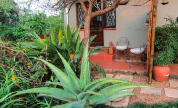 Gecko Hill - Housity