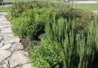 Finis Africae Hotel Hotels in Senigallia