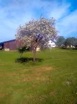La Maison de Pescate Hotels in Hagetmau