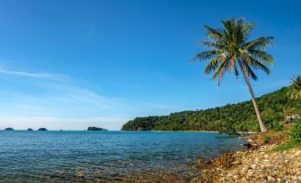 Lonely Beach Pool Resort