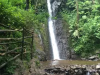 Villa Molly - Bogor Private Luxurious Staycation Hotel di Kabupaten Bogor