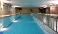 Maldron Hotel Tallaght - piscina