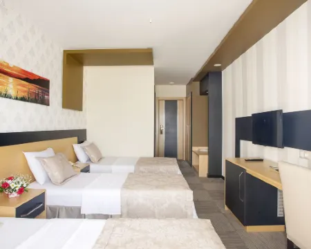 Berksoy Hotel Hotels in Bergama