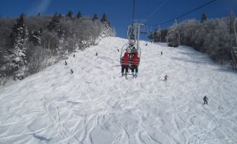 The Inn at Mount Snow