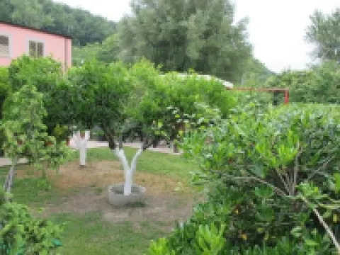 Palinuro Casa Vacanze "Donna Antonia"