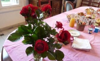 Chateau la Bouriette - Housity