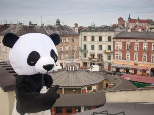 Hostel Panda-Krakow Updated 2023 Room Price-Reviews & Deals | Trip.com
