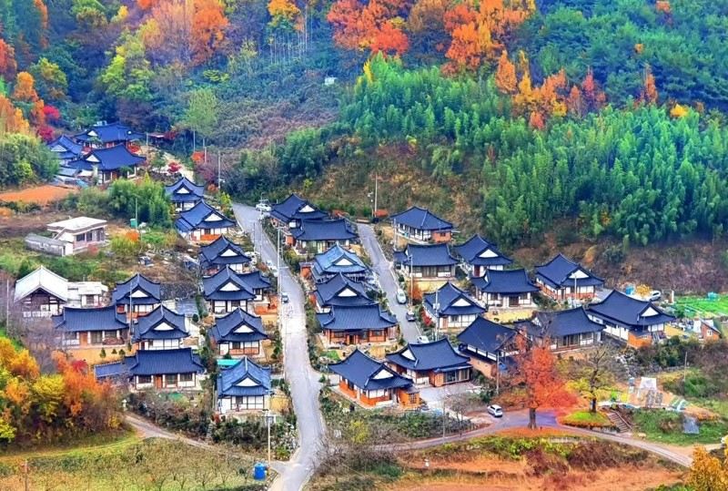 나주 단풍나무한옥펜션 후기 & 특가 예약, 나주시 2026 | 트립닷컴