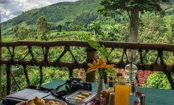 Bwindi View Lodge & Camp Site