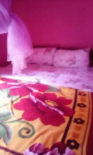 Chelsea Blues Hotel Hotels in 