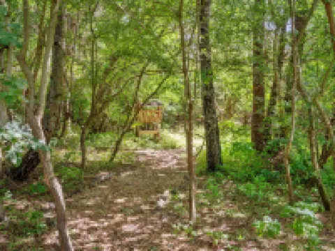 "Bette" - 8km from the Sea