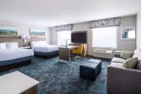 Hampton Inn & Suites Salida - Wifi