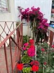 Hostal Mi Segundo Hogar Các khách sạn gần Terminal Collao Concepcion