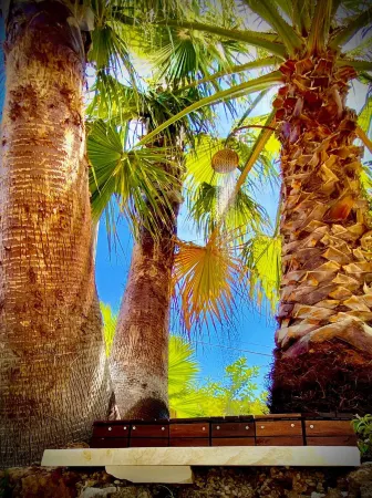 Holiday House Nido al Lido Suite Отели в г. Lido di Noto