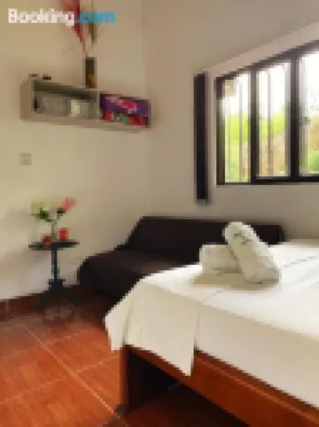 パライソ ココラ