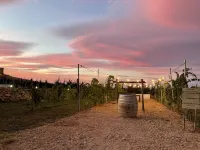 De Mare Wine Resort Các khách sạn ở Strongoli