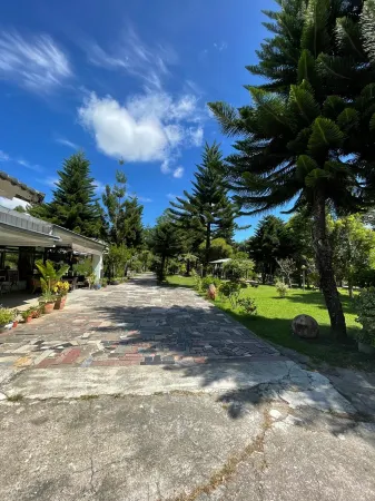Bitong Shu Homestay