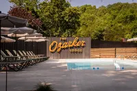 The Ozarker Lodge - Pools