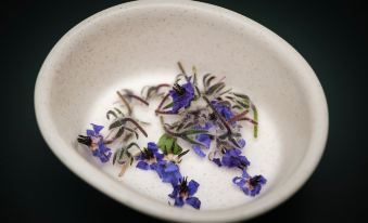 Kimpton Virgilio Polanco by IHG