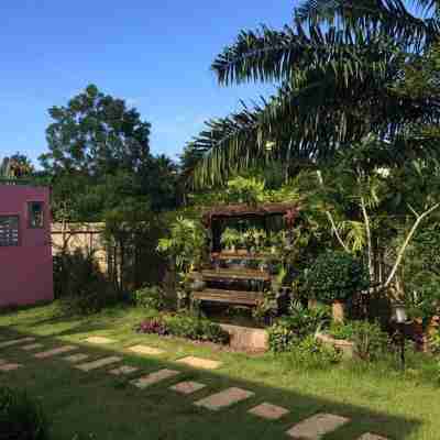 青蓬香蕉廣場度假酒店 Hotel Exterior