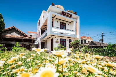 Tra Que Green Villa Hoi An Hoteller i Cẩm Hà