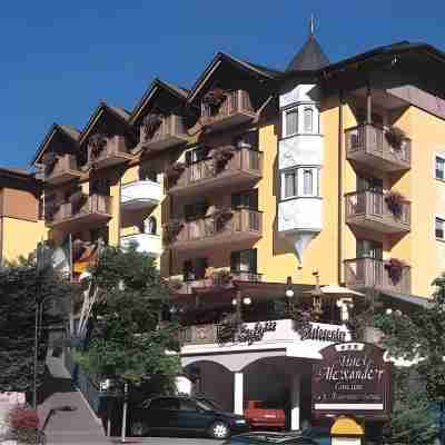 Alexander Hotel Alpine Wellness Dolomites Hotel Exterior