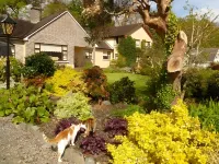 Inveraray Farm B&B