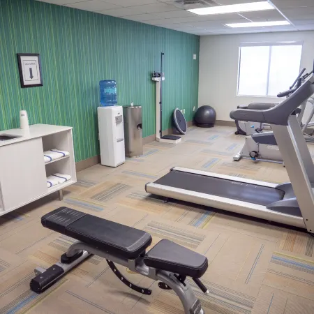 Holiday Inn Express & Suites GREENVILLE AIRPORT by IHG
