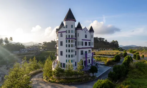 Cameron Lavender Mansion