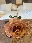 Hotel Papillon
