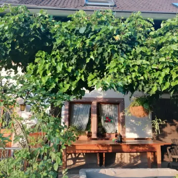 Double Room Linden Blossom Отели в г. Шуттерталь