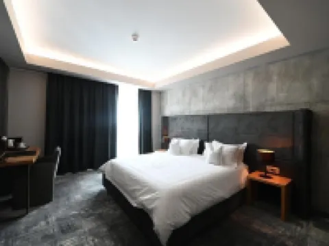 アニロックシグニチャーホテル アラドのホテル