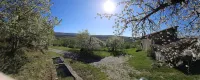 - Agriturismo la Piaggia - Forest View Apartment on the Ground Floor 2 Guests