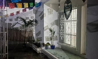Treebu Hostel