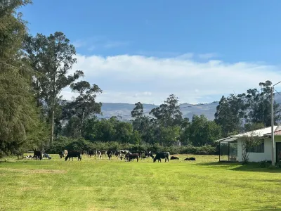 Grandfather´s Farm - Disfruta de la Naturaleza en un Lindo Flat. Hotels in 